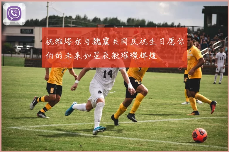 祝维塔尔与魏震共同庆祝生日愿你们的未来如星辰般璀璨辉煌